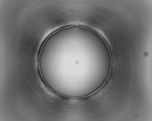 X0000091331032200709071152