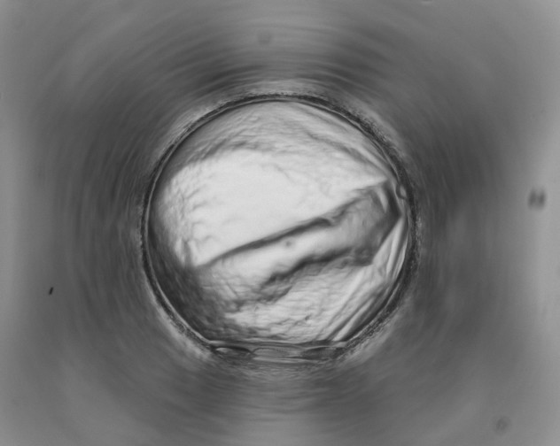X0000091331033200709071152