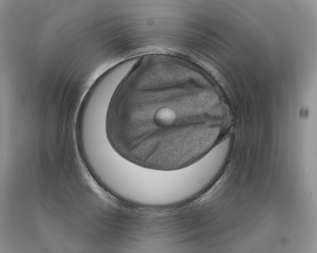 X0000091331034200709071152