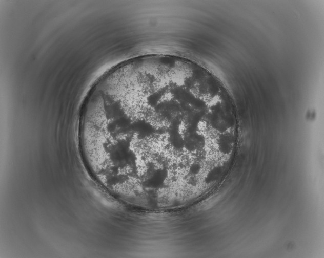 X0000091331035200709071152