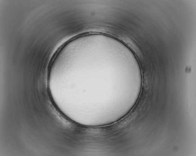 X0000091331036200709071152
