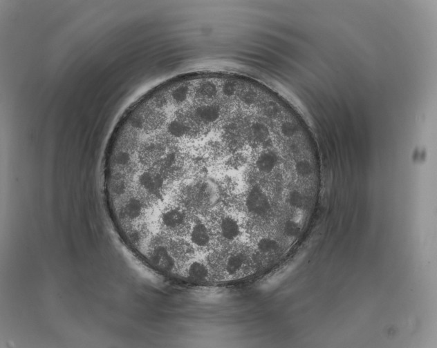 X0000091331037200709071152