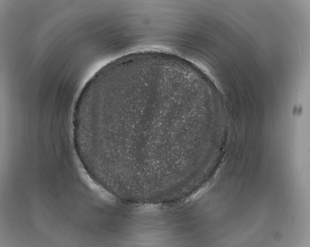X0000091331038200709071152