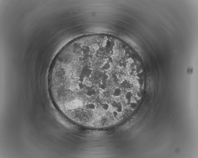 X0000091331039200709071152