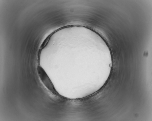 X0000091331040200709071152