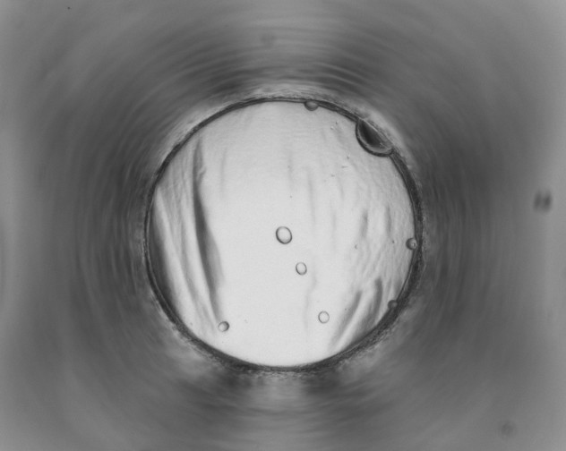 X0000091331041200709071152