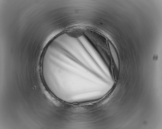X0000091331042200709071152