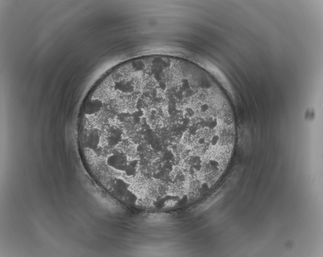 X0000091331043200709071152