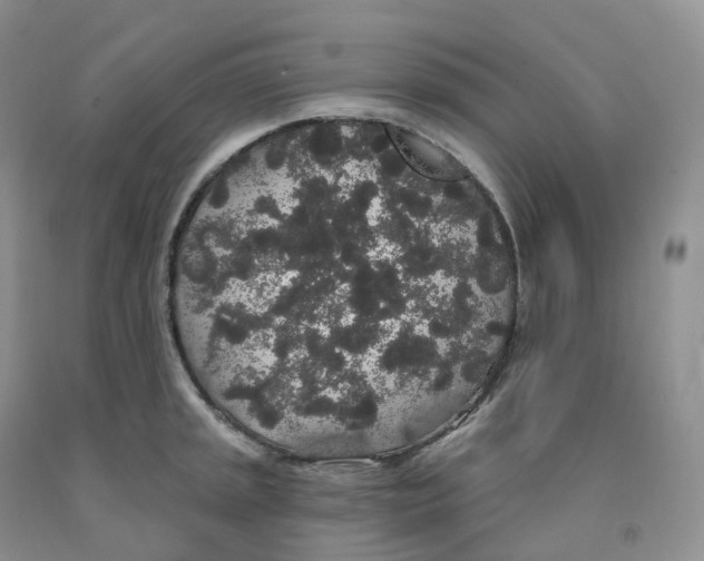 X0000091331045200709071152