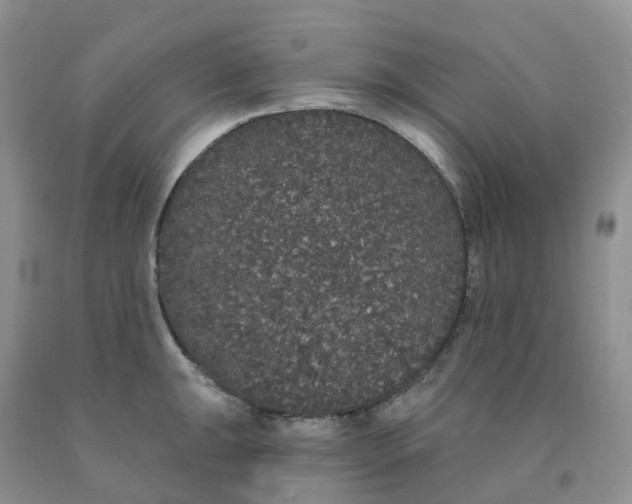 X0000091331047200709071152