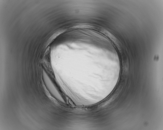 X0000091331049200709071153