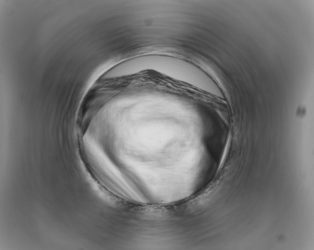 X0000091331050200709071153