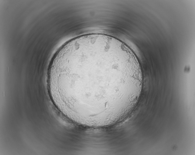 X0000091331051200709071153