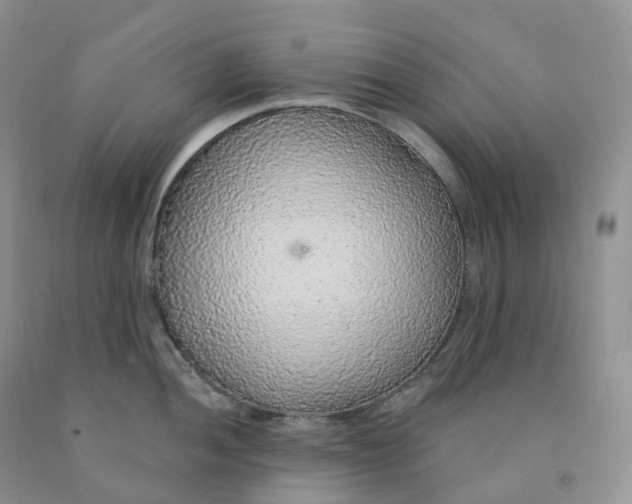 X0000091331052200709071153