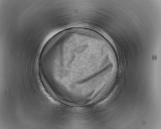 X0000091331053200709071153