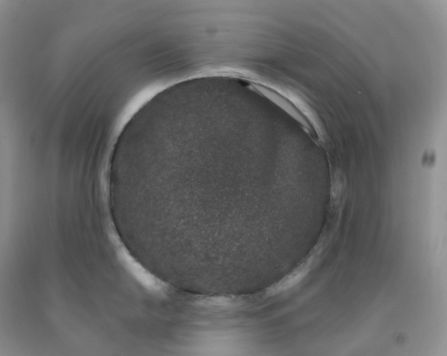 X0000091331054200709071153