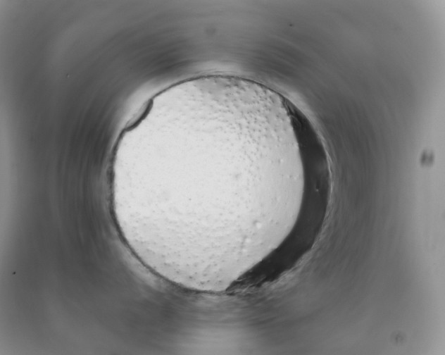 X0000091331056200709071153