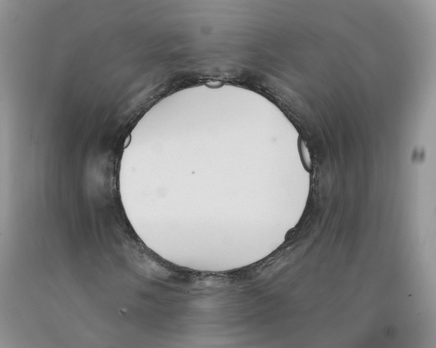 X0000091331058200709071152