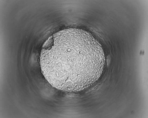 X0000091331059200709071152