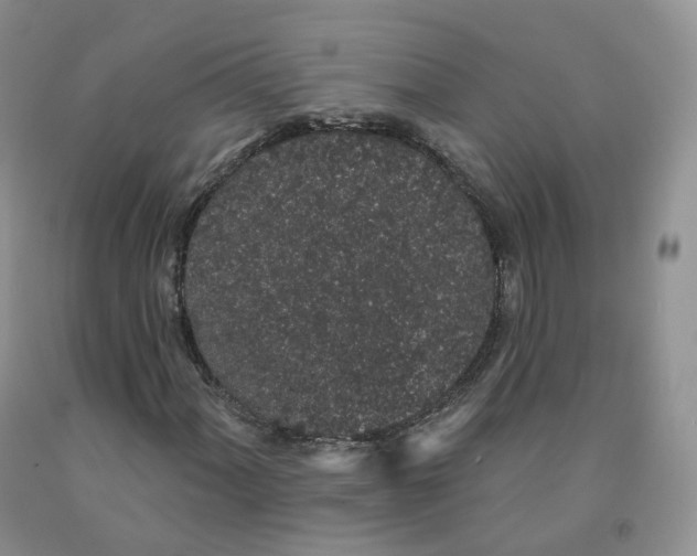X0000091331060200709071152