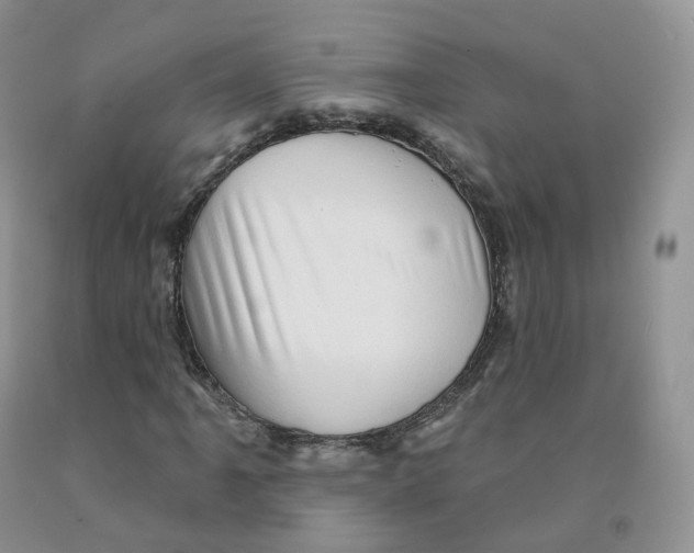 X0000091331061200709071152