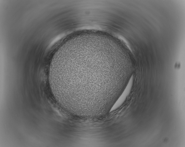 X0000091331064200709071152