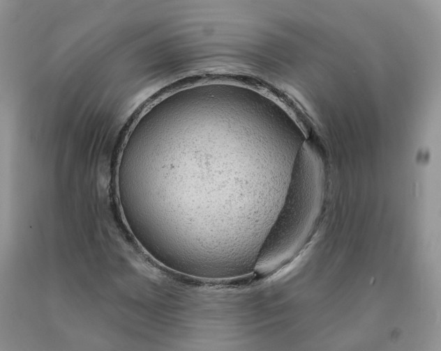 X0000091331065200709071152