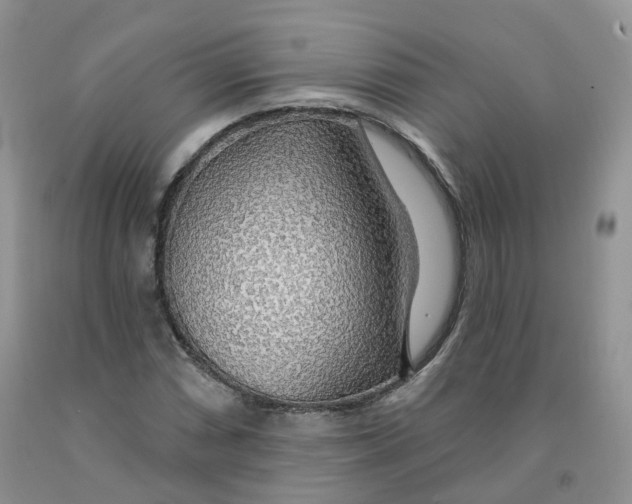 X0000091331066200709071152