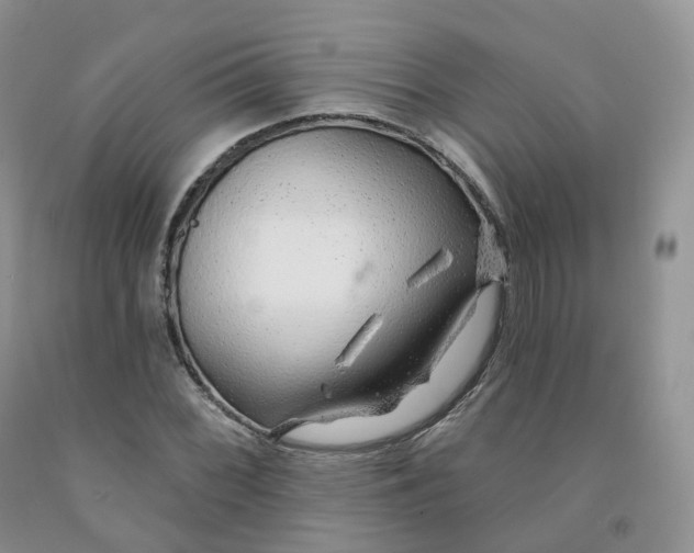 X0000091331068200709071152