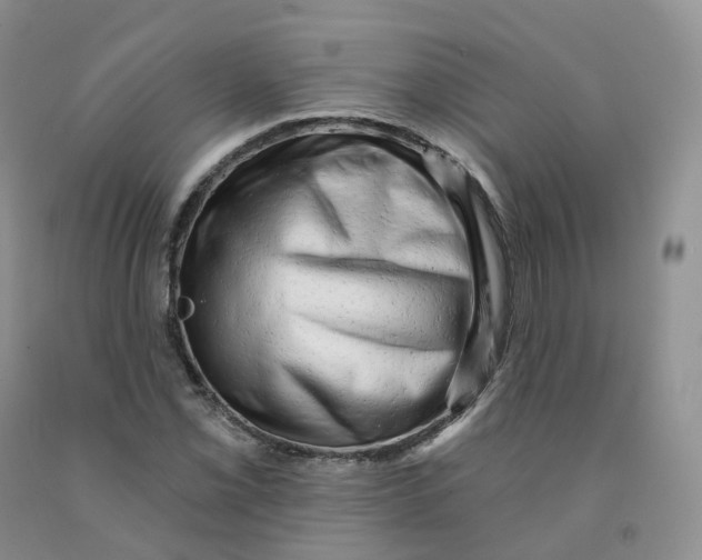 X0000091331069200709071152