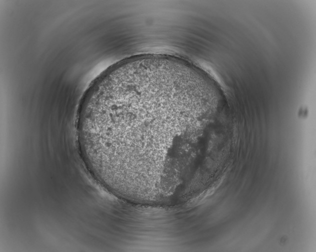 X0000091331071200709071152