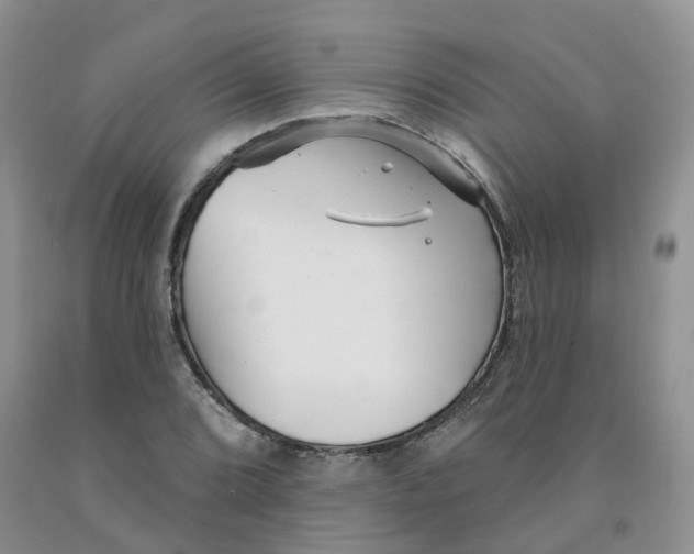 X0000091331072200709071152