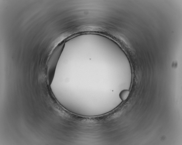 X0000091331073200709071152