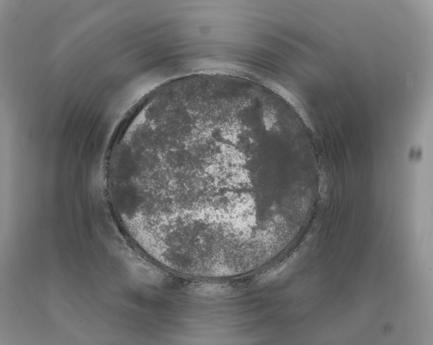 X0000091331074200709071152