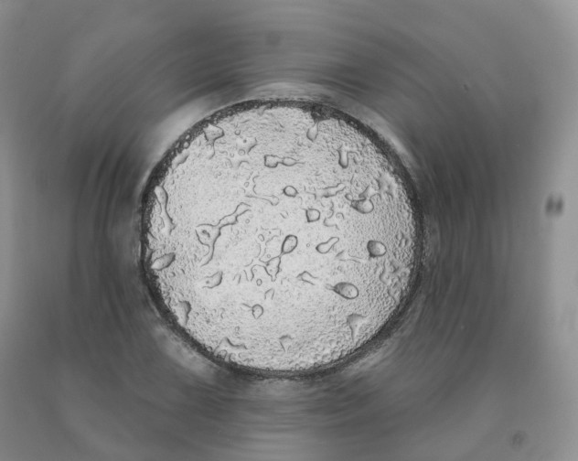 X0000091331075200709071152