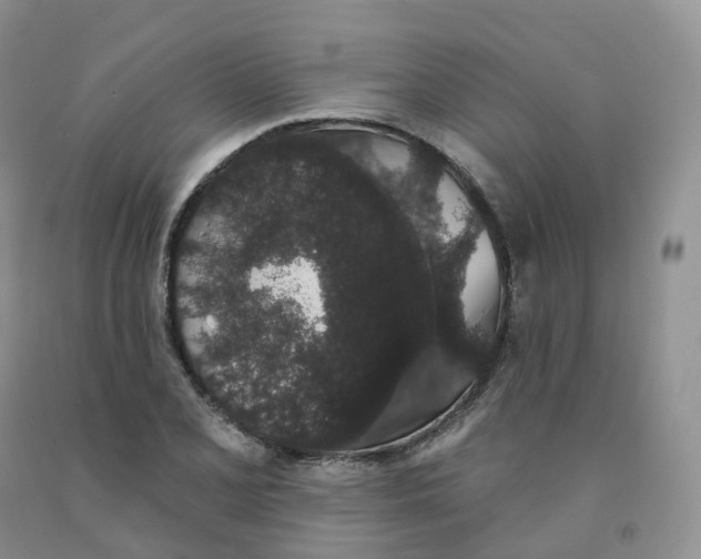 X0000091331077200709071152