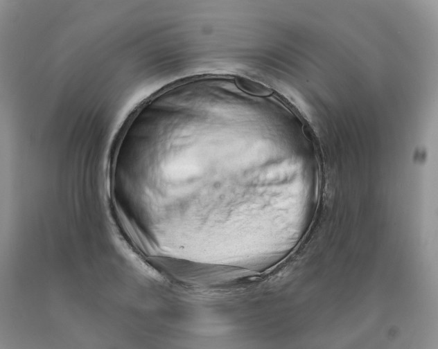 X0000091331080200709071152