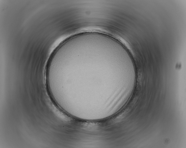 X0000091331082200709071152