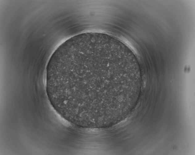 X0000091331084200709071152