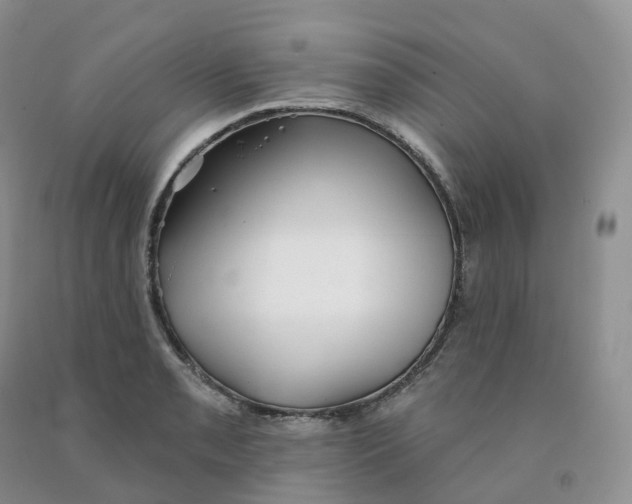 X0000091331085200709071152