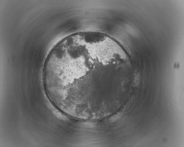 X0000091331086200709071152