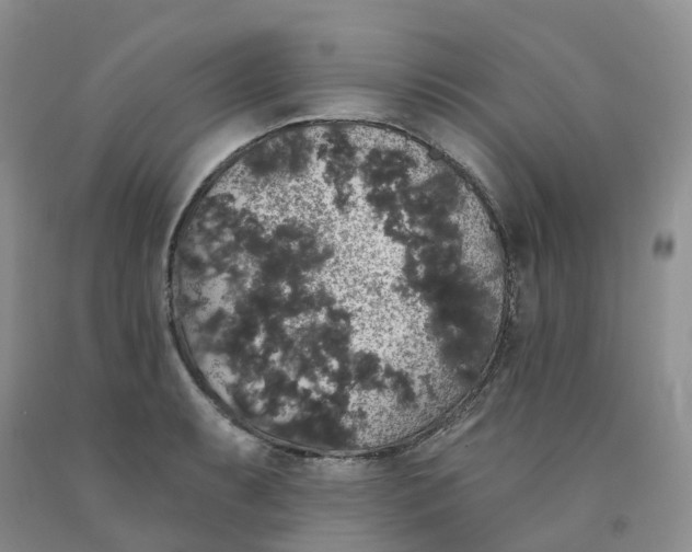 X0000091331087200709071152