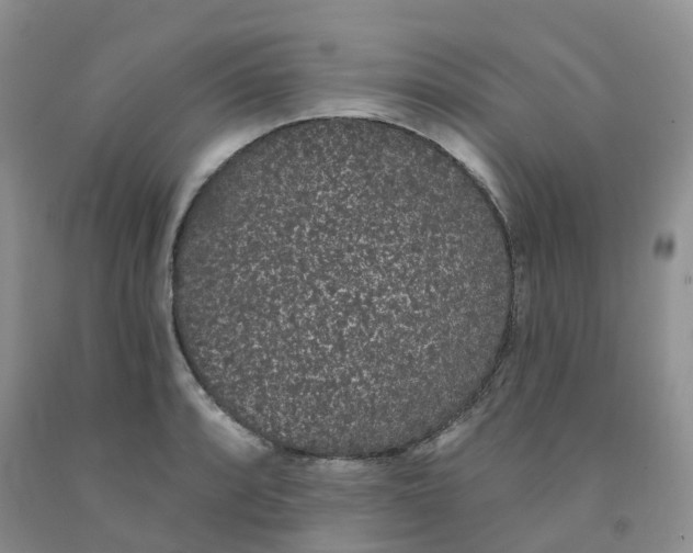 X0000091331088200709071152
