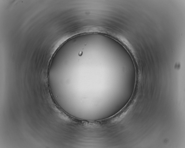 X0000091331089200709071152