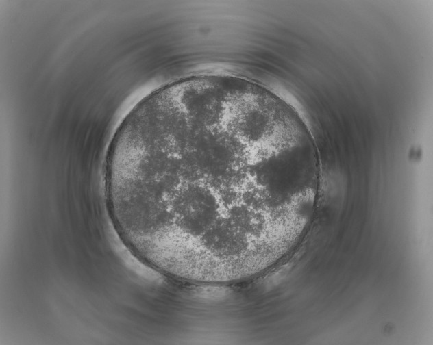 X0000091331090200709071152