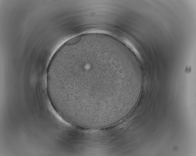 X0000091331092200709071152