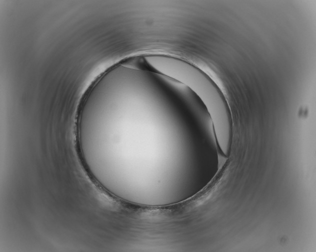 X0000091331093200709071152