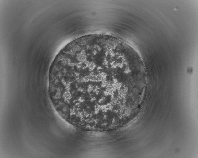 X0000091331095200709071152