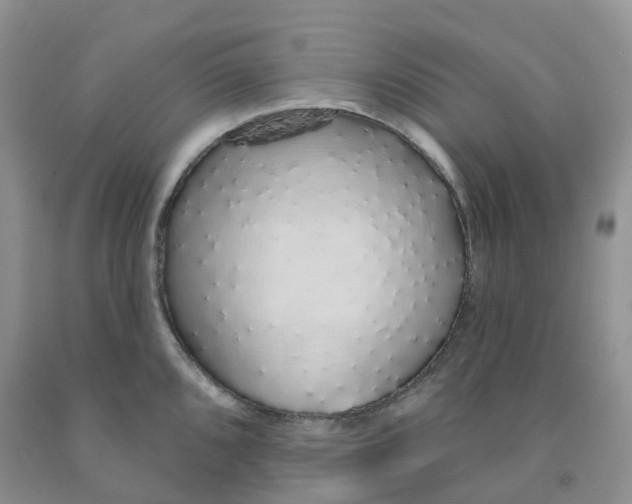 X0000091331096200709071152