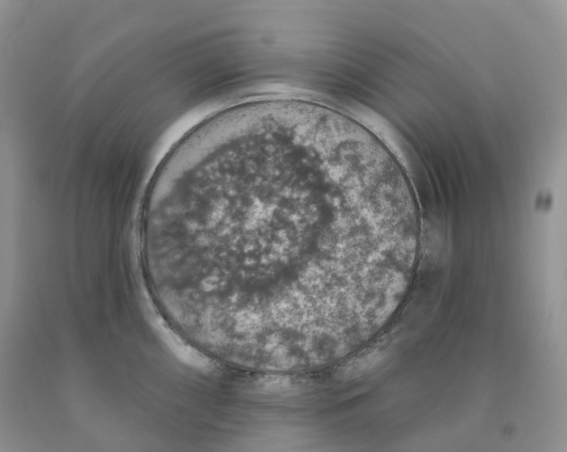 X0000091331098200709071151